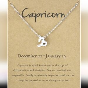 Silver Zodiac Necklace